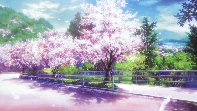 樱花樱花想见你 - dancing in our music